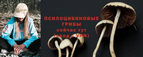 скорость Саяногорск