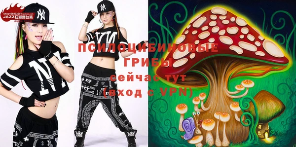 винт Сатка