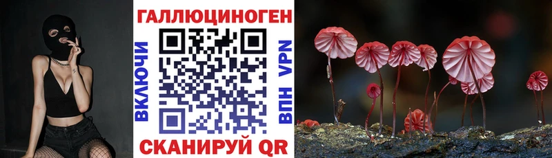 Галлюциногенные грибы мицелий  Электросталь 